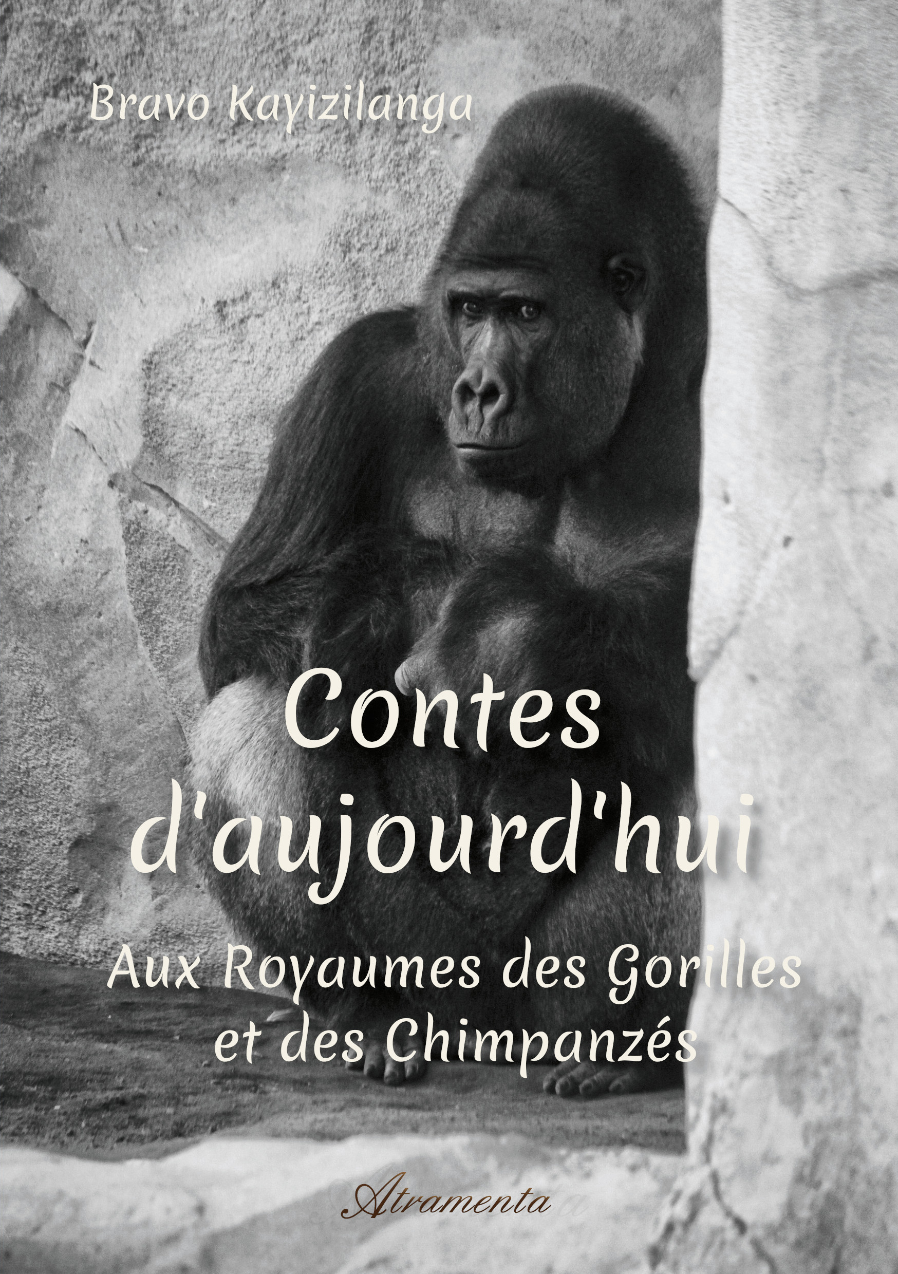 ebook cover of Contes d'aujourd'hui : Aux royaumes des gorilles et des chimpanzés, by Bravo Kayizilanga