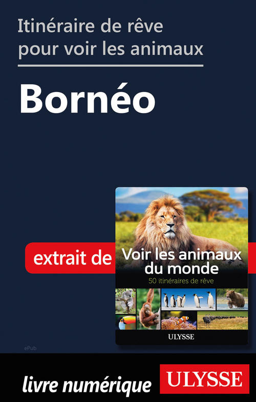 Couverture ebook de Itinéraire de rêre pour voir les animaux - Bornéo, de Ariane Arpin-Delorme