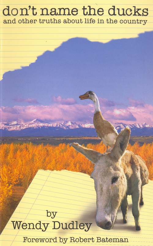 ebook cover of Don't Name the Ducks, by Wendy Dudley