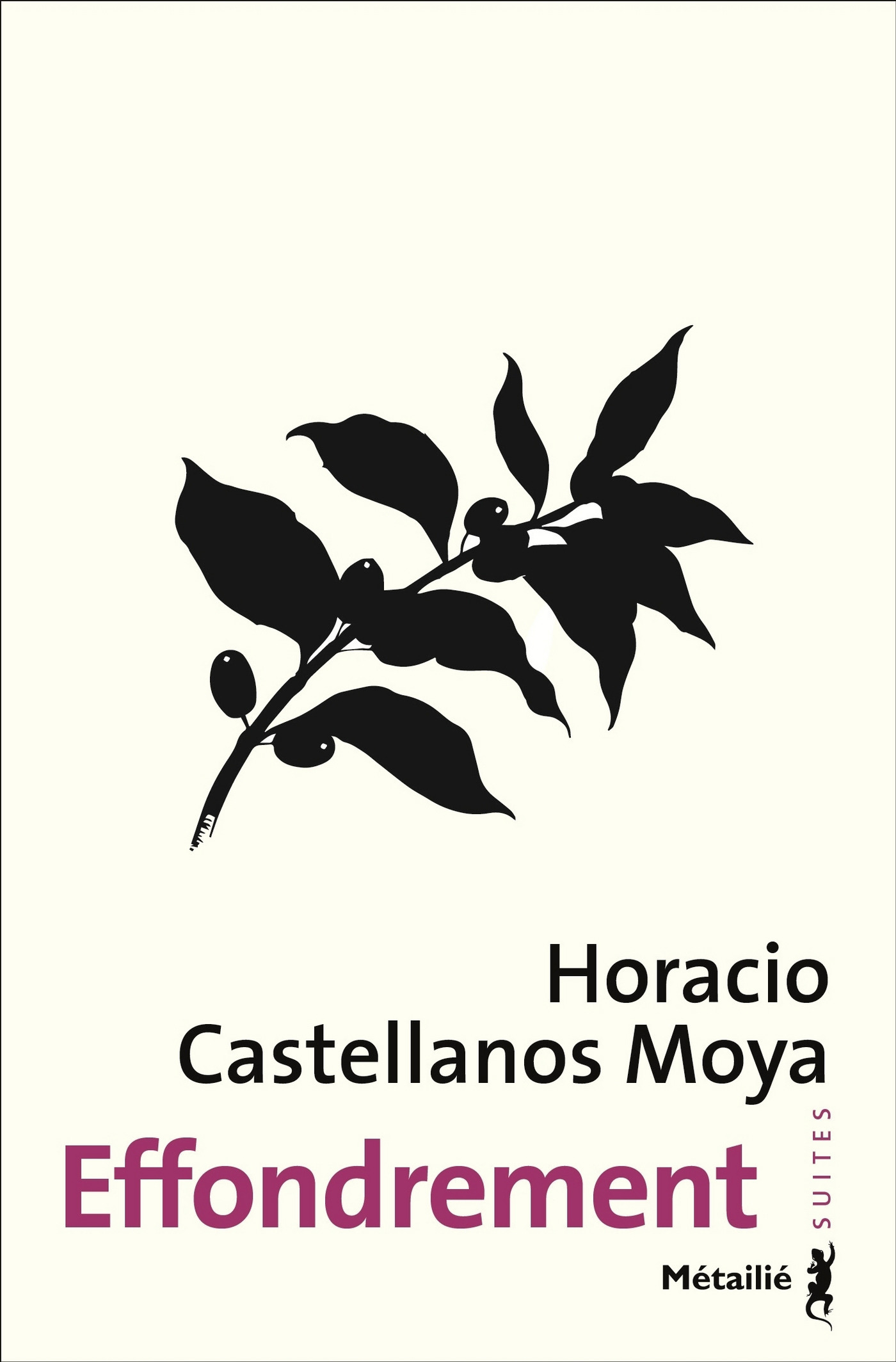 Couverture ebook de Effondrement, de Horacio Castellanos moya