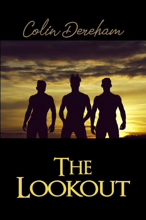 Couverture ebook de The Lookout, de Colin Dereham
