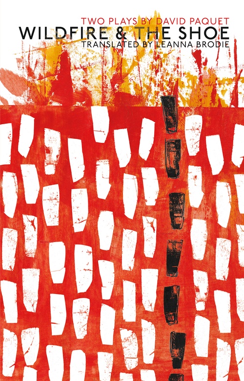 ebook cover of Wildfire & The Shoe, by David Paquet