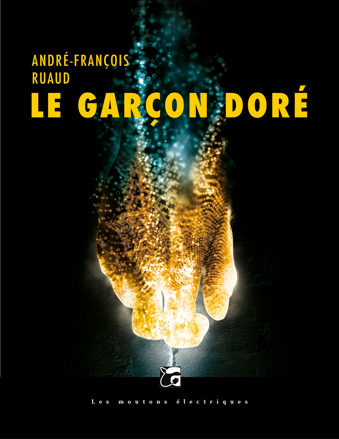 ebook cover of Le garçon doré, by André-François Ruaud