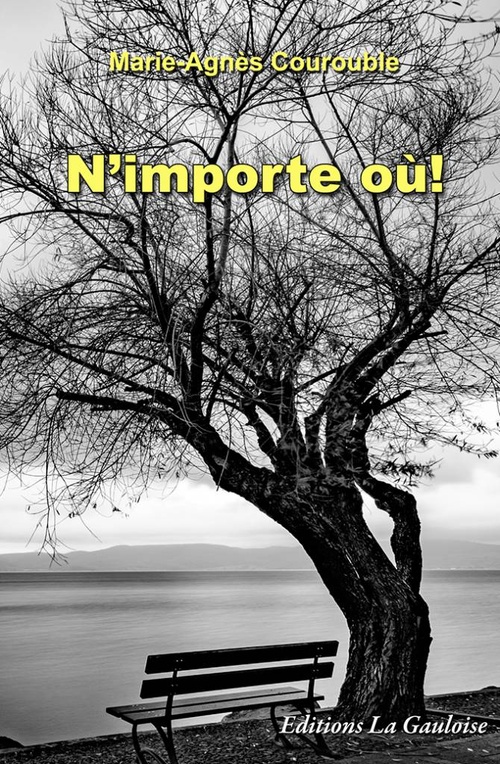 ebook cover of N'importe où, by Marie-Agnès Courouble