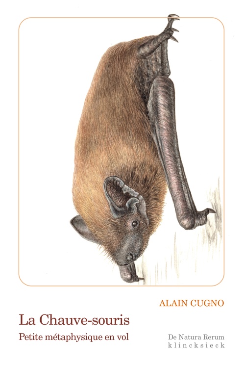 ebook cover of La Chauve-souris, by Alain Cugno
