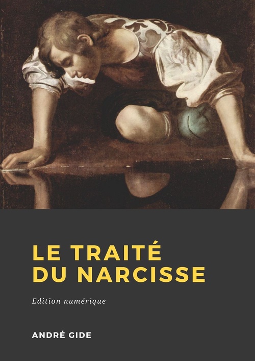 Couverture ebook de Le Traité du Narcisse, de Andre Gide
