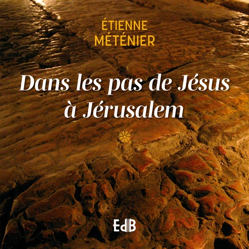 ebook cover of Dans les pas de Jésus à Jérusalem, by Etienne Metenier