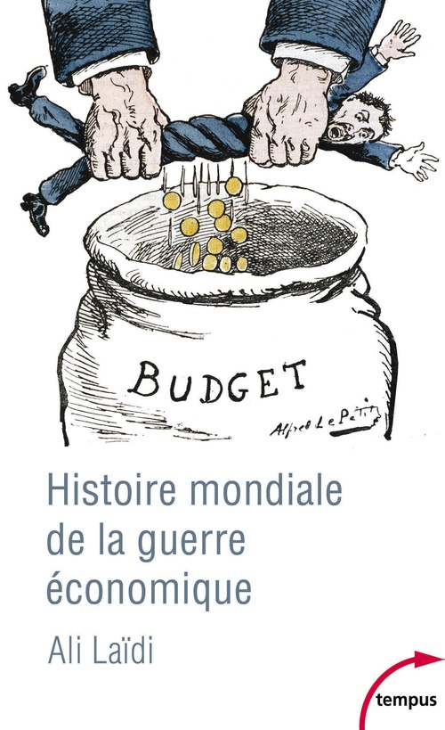 Couverture ebook de Histoire mondiale de la guerre économique, de Ali Laidi