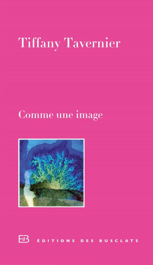 Couverture ebook de Comme une image, de Tiffany Tavernier