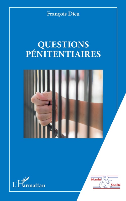 ebook cover of Questions pénitentiaires, by François Dieu