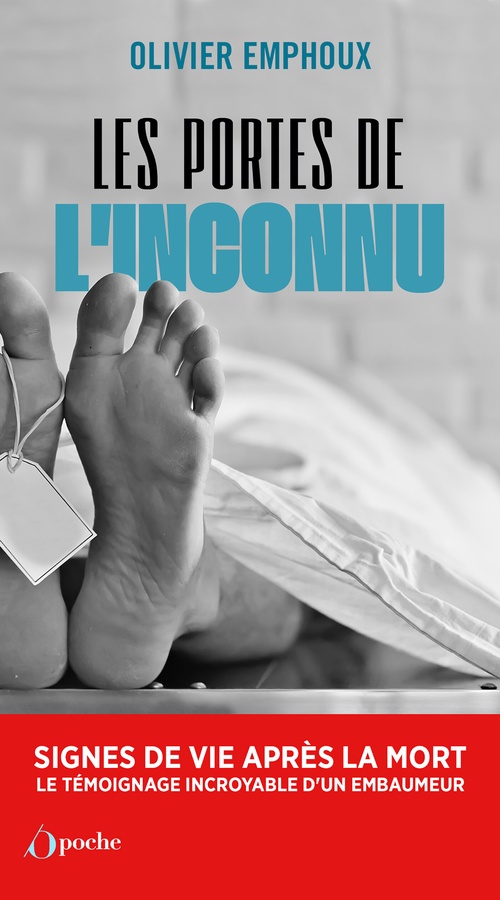 ebook cover of Les portes de l'inconnu, by Olivier Emphoux, Annette Geffroy