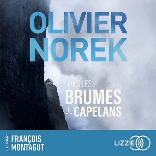 audiobook cover of Dans les brumes de Capelans, by Olivier Norek
