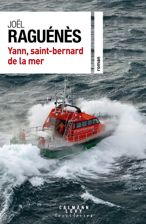 ebook cover of Yann, saint-bernard de la mer, by Joël Raguénès