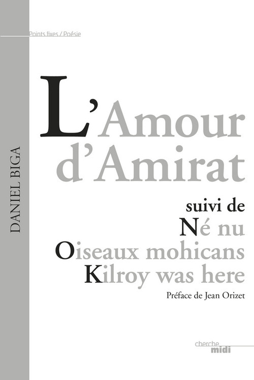 Couverture ebook de L'amour d'amirat, de Daniel Biga