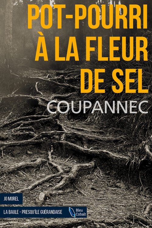 ebook cover of Pot-pourri à la fleur de sel, by Roger Coupannec
