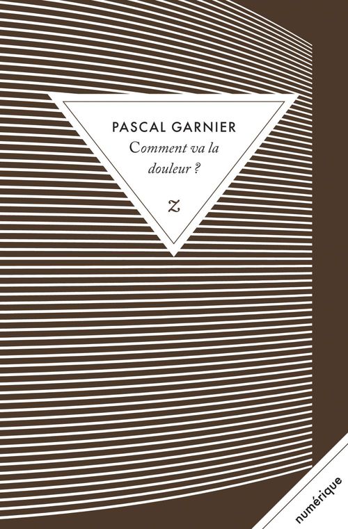 ebook cover of Comment va la douleur ?, by Pascal Garnier