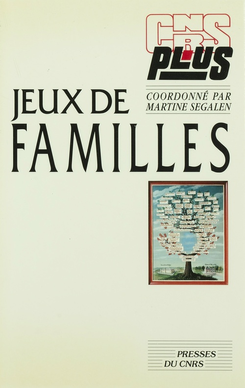 ebook cover of Jeux de familles, by Martine Segalen
