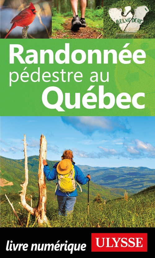Couverture ebook de Randonnée pédestre au Québec, de Yves Séguin