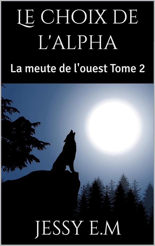 ebook cover of Le choix de l'Alpha, by Jessy E. M