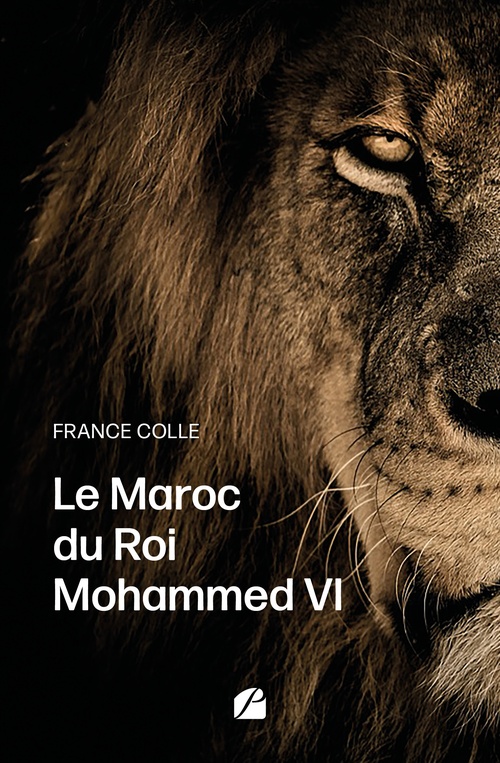 ebook cover of Le Maroc du Roi Mohammed VI, by France Colle