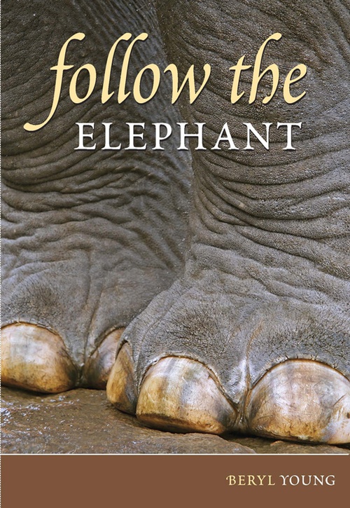 ebook cover of Follow the Elephant, by Beryl Young