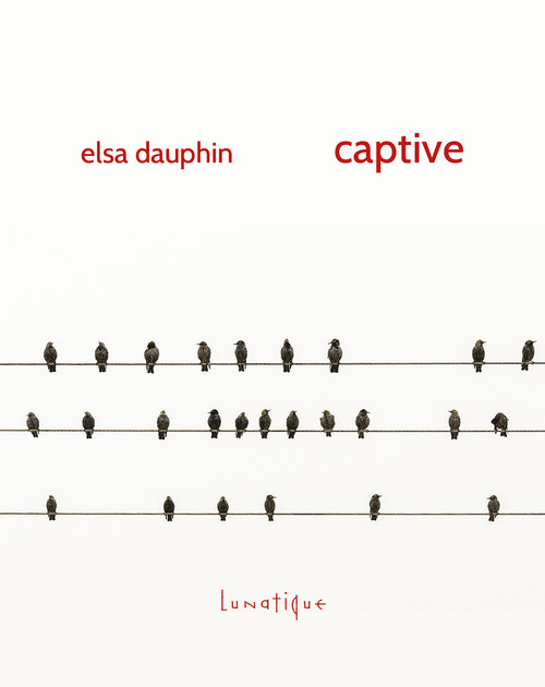 Couverture ebook de Captive, de Elsa Dauphin
