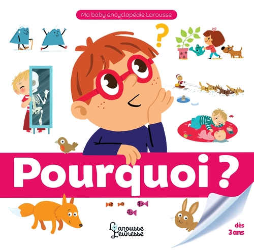 Couverture ebook de Pourquoi ?, de Anne Royer