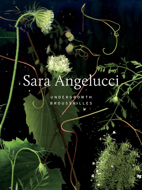 ebook cover of Sara Angelucci: Undergrowth / Broussailles, by Shannon Anderson