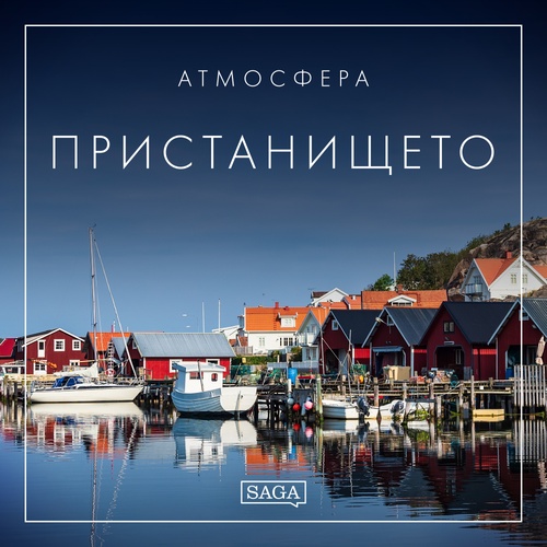 audiobook cover of -, by Rasmus Broe