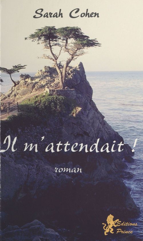 Couverture ebook de Il m'attendait !, de Sarah Cohen
