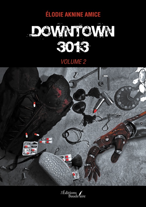 Couverture ebook de Downtown 3013 - volume 2, de Aknine Amice Élodie