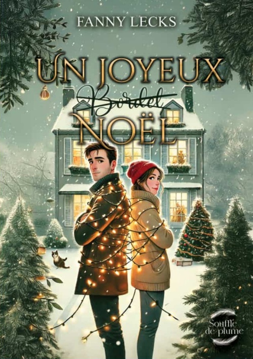 ebook cover of Un joyeux (bordel) Noël, by Fanny Lecks