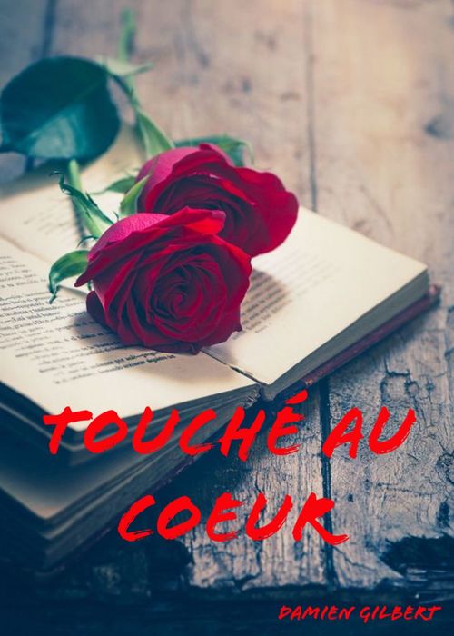 Couverture ebook de Touché au coeur, de Damien Gilbert