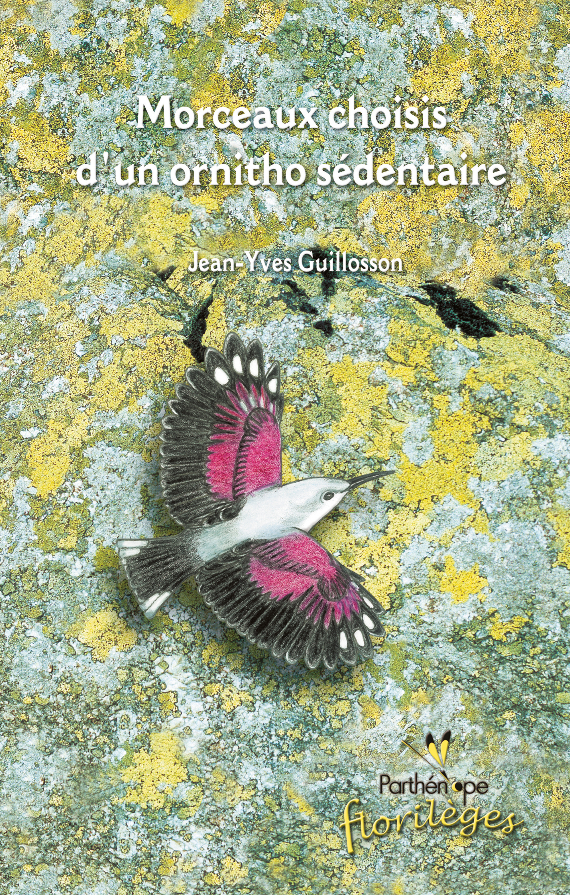Couverture ebook de Morceaux choisis d'un ornitho sédentaire, de Jean-yves Guillosson