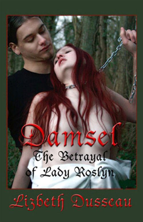 ebook cover of Damsel: The Betrayal of Roslyn, by Lizbeth Dusseau