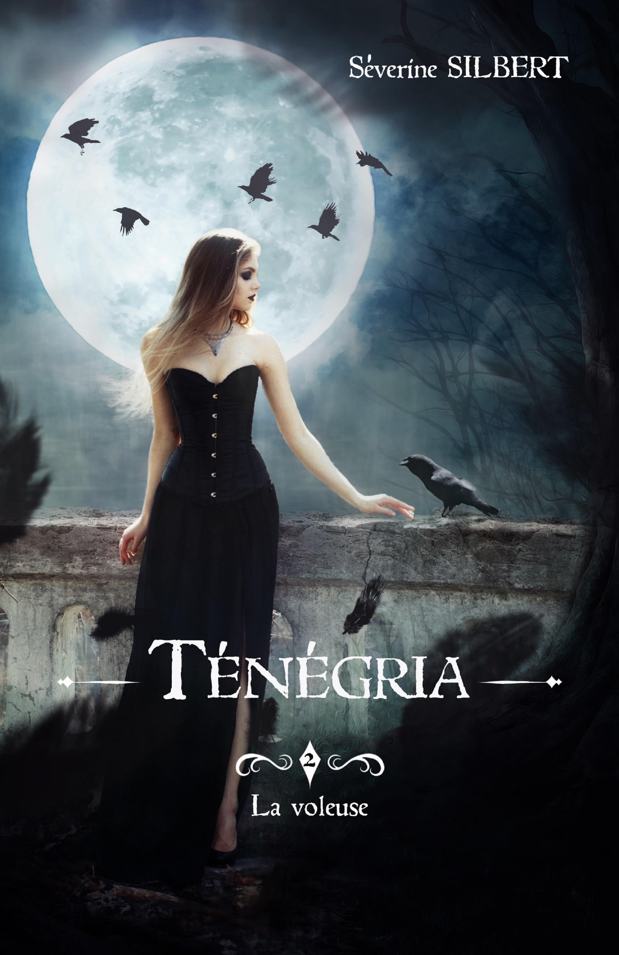 Couverture ebook de Ténégria tome 2 : la voleuse, de Séverine Silbert