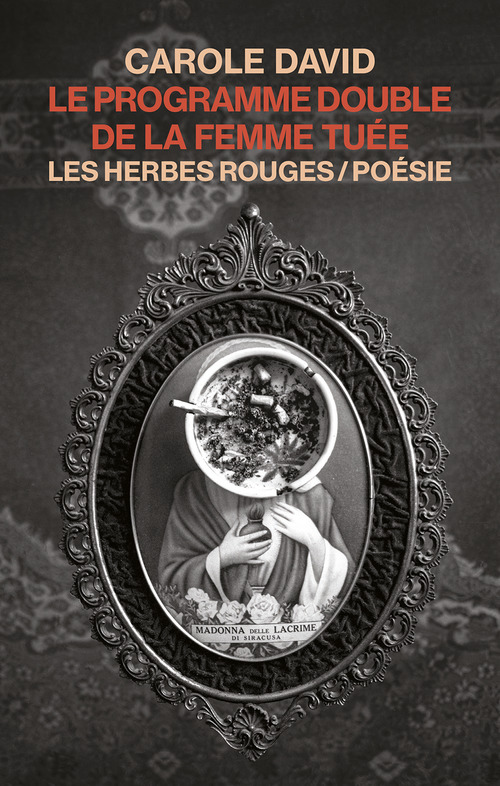 Couverture ebook de Le programme double de la femme tuée, de Carole David