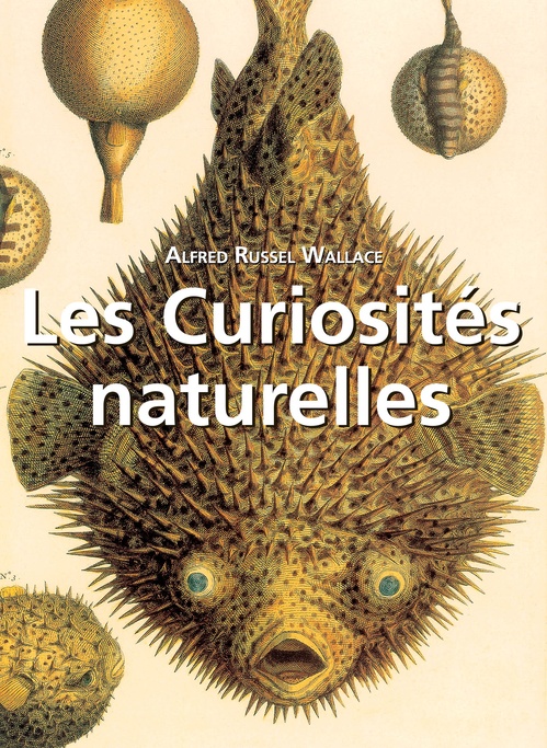 Couverture ebook de Les Curiosités naturelles, de Collectif
