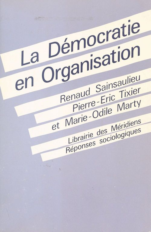 ebook cover of La Démocratie en organisation : vers des fonctionnements collectifs de travail, by Renaud Sainsaulieu, Pierre éric Tixier, Emilia Marie-Odile Marty
