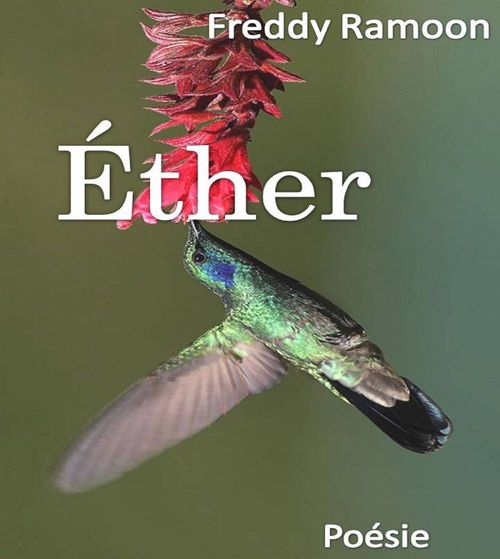 Couverture ebook de Ether, de Freddy Ramoon