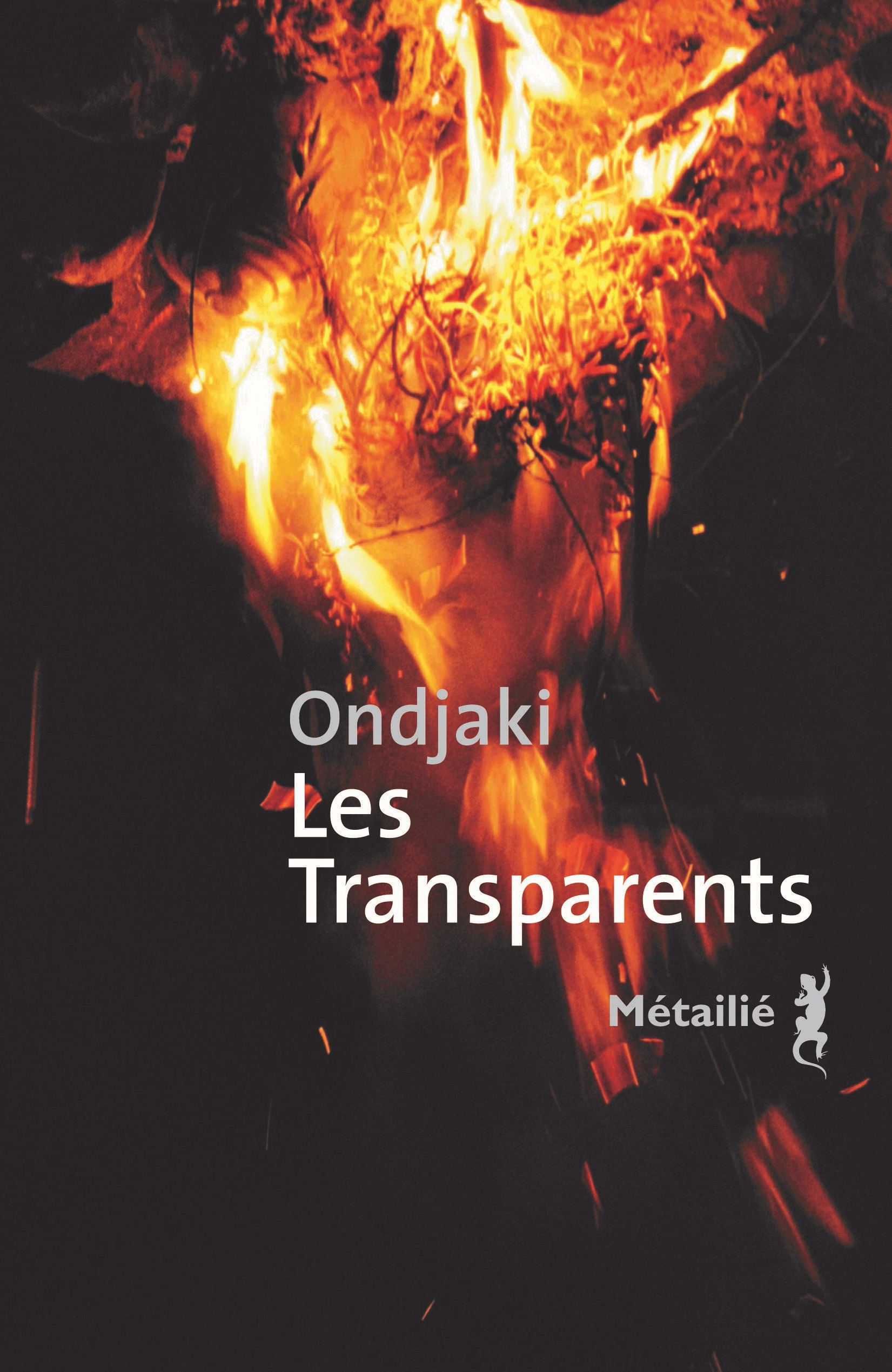 Couverture ebook de Les Transparents, de Ondjaki