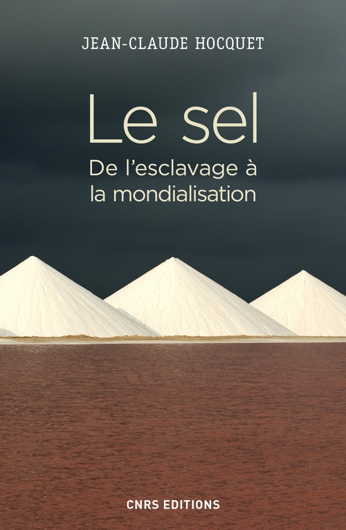 ebook cover of Le sel. De l'esclavage à la mondialisation, by Jean-claude Hocquet