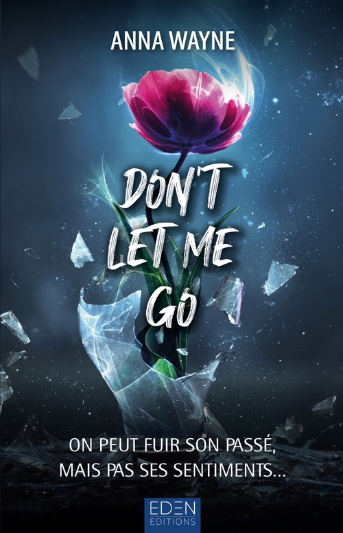 ebook cover of Don't let me go, by Anna Wayne