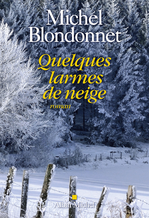 Couverture ebook de Quelques larmes de neige, de Michel Blondonnet