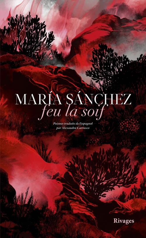 ebook cover of Feu la soif, by Maria Sanchez