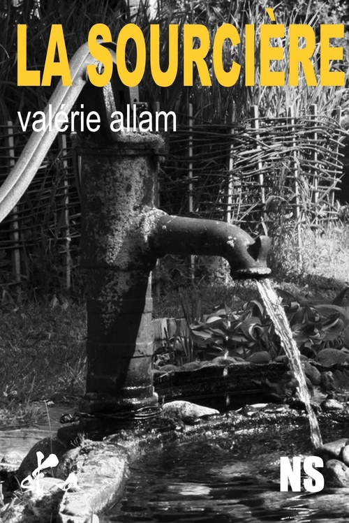 Couverture ebook de La sourcière, de Valérie Allam
