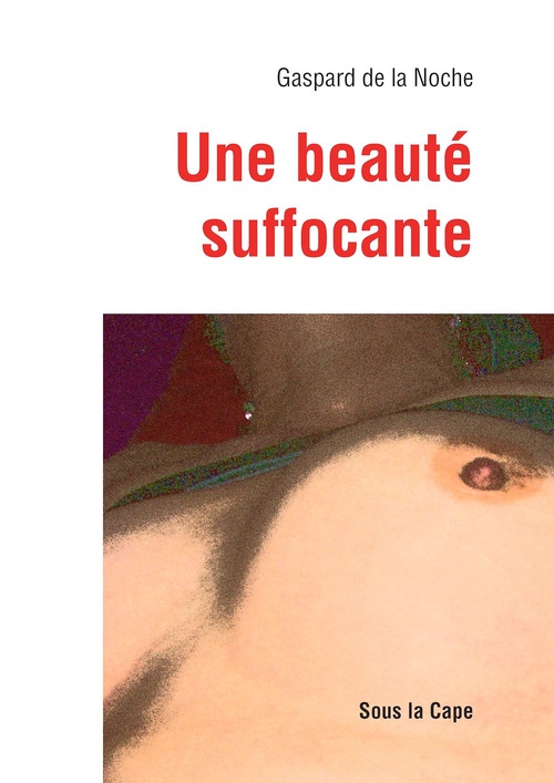 Couverture ebook de Une beauté suffocante, de Gaspard De La Noche
