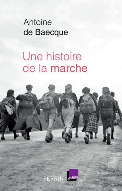 ebook cover of Une histoire de la marche, by Antoine de Baecque