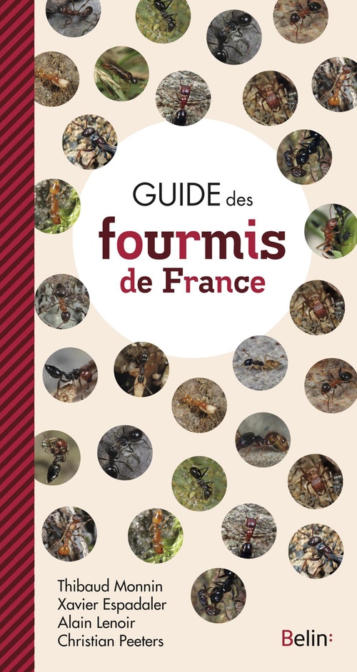 Couverture ebook de Guide des Fourmis de France, de Xavier Espalader, Alain Lenoir, Thibaud Monnin, Christian Peeters