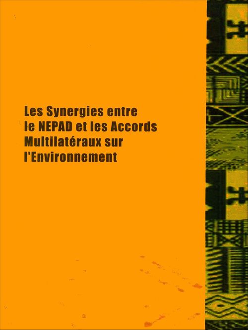 Couverture ebook de Les synergies entre le NEPAD et les accords multilatéraux sur l'environnement, de Masse Lo, Oussouby Toure